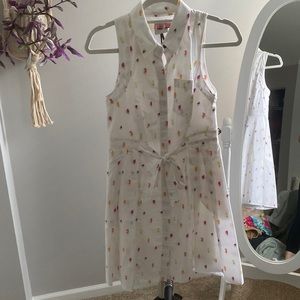 Anthropology popsicle dress